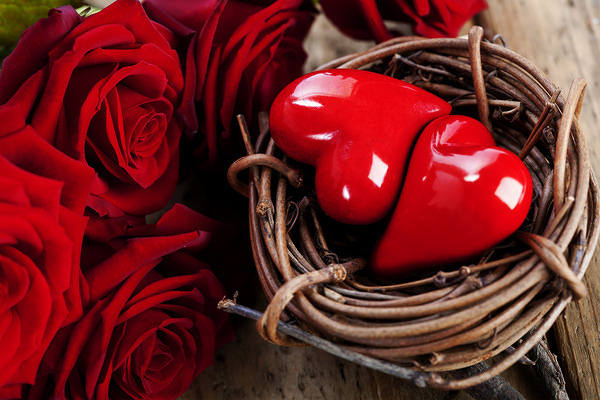 This jpeg image - Valentine's Day Background with Nest Hearts and Roses, is available for free download
