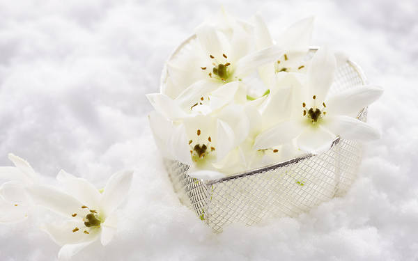 This jpeg image - White Background with Flowers and Heart Basket, is available for free download