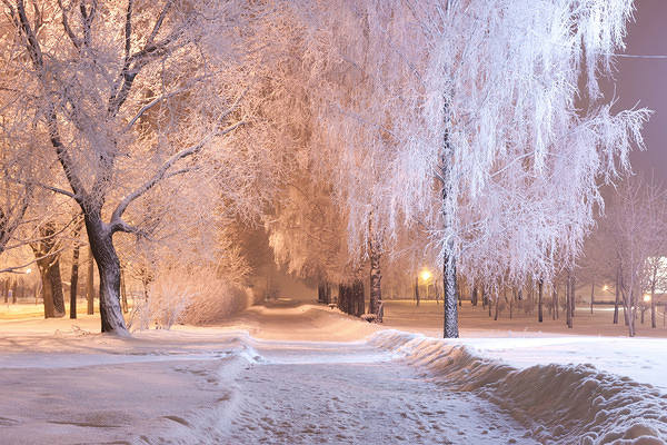 This jpeg image - Winter Night Background, is available for free download