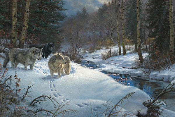 This jpeg image - Wolf in Winter Beautiful Landscape Background, is available for free download