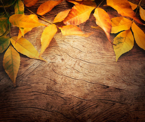 This jpeg image - Wooden Background with Autumn Leaves, is available for free download