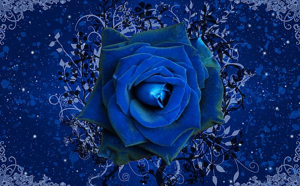 This jpeg image - Blue-Rose- Wallpaper, is available for free download