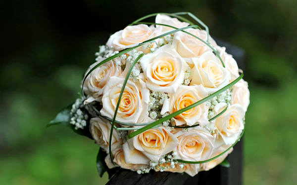 This jpeg image - White Bouquet Wallpaper, is available for free download