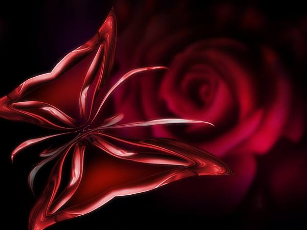 This jpeg image - dark-red-rose , is available for free download