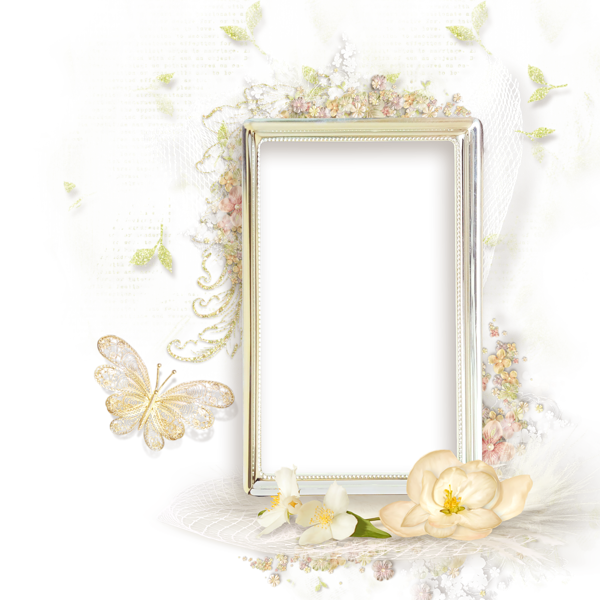 Beautiful Cream Transparent frame with Flowers | Gallery ...