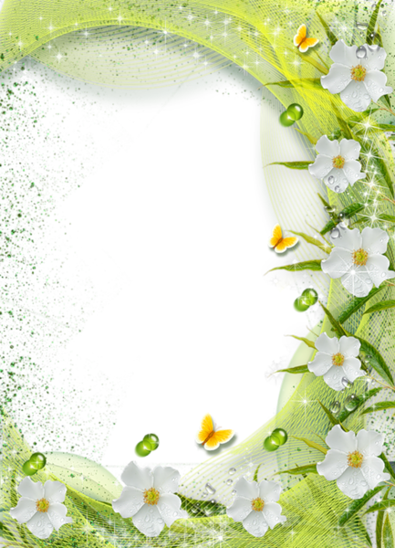 This png image - Beautiful Green Transparent Photo Frame with White Flowers, is available for free download