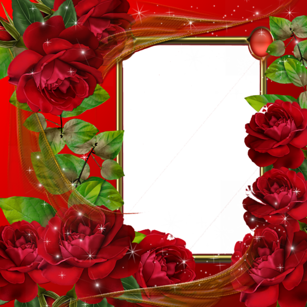 This png image - Beautiful Red Roses Transparent Photo Frame, is available for free download