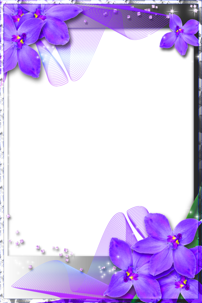 This png image - Beautiful Transparent Frame with Purple Orchids, is available for free download