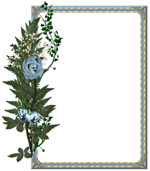 Beautiful Transparent Gray Photo Frame with Blue Rose ...