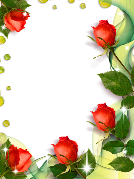 This png image - Beautiful Transparent Photo Frame with Roses, is available for free download