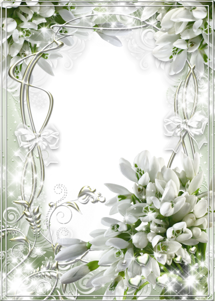 This png image - Beautiful White Soft Transparent Frame with Snowdrops, is available for free download