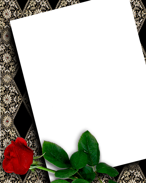 This png image - Black Transparent Frame with Beautiful Red Rose, is available for free download