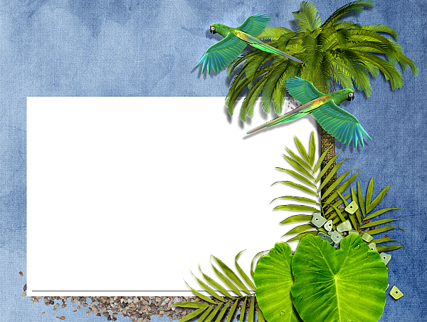 This png image - Blue Exotic Transparent Frame with Parrots, is available for free download