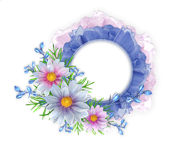 Blue and Pink Round Transparent Frame with Flowers ...