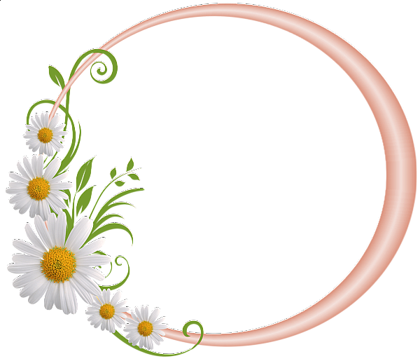This png image - Cream Round Frame with Daisies, is available for free download