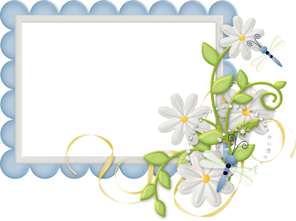 Cute Large Design Blue Transparent Frame with Daisies ...