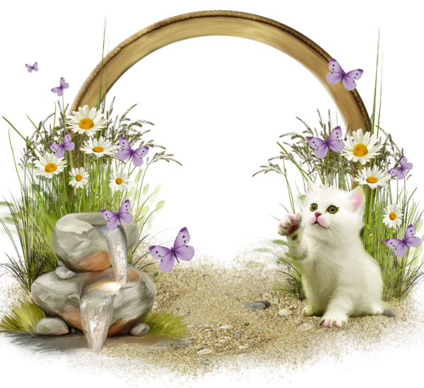 This png image - Cute Transparent Frame with White Kitten, is available for free download