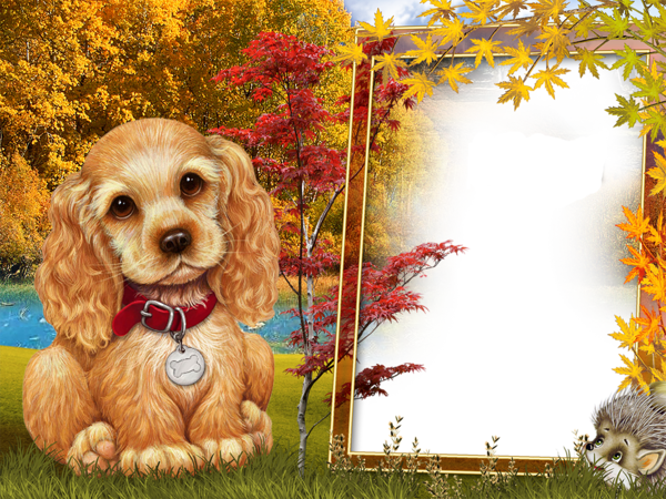 This png image - Fall Style Kids Transparen PNG Photo Frame with Cute Puppy, is available for free download