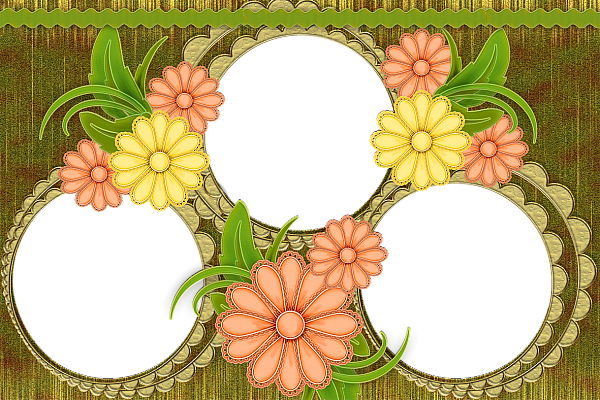 This png image - Floral Transparent Photo Frame, is available for free download