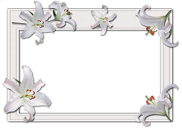 This png image - Flowers frame (10), is available for free download