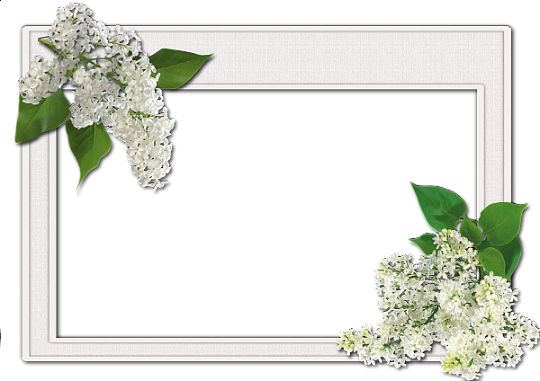 This png image - Flowers frame (12), is available for free download