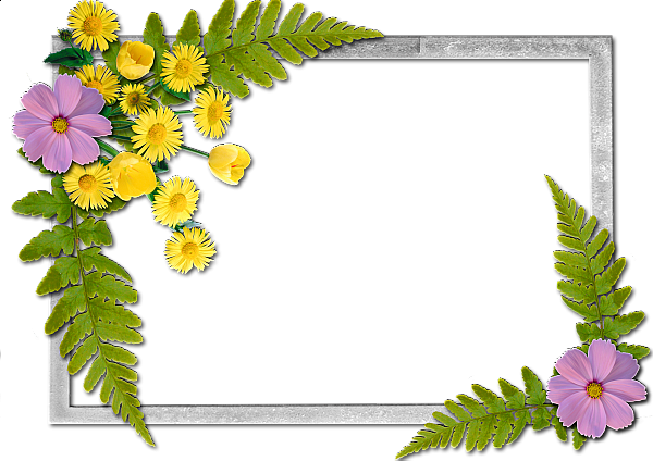 This png image - Flowers frame (15), is available for free download