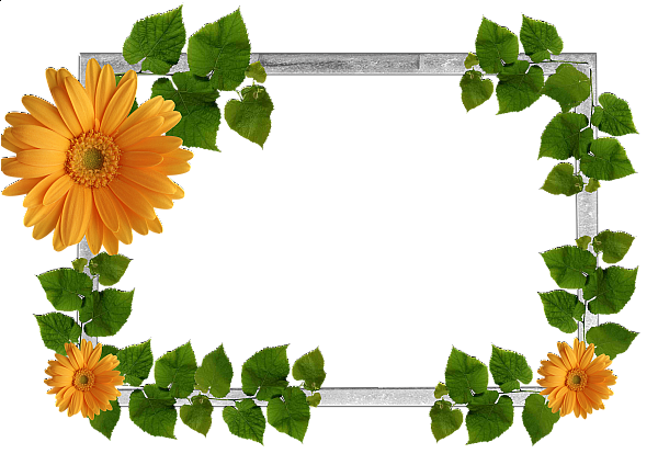 This png image - Flowers frame (2), is available for free download