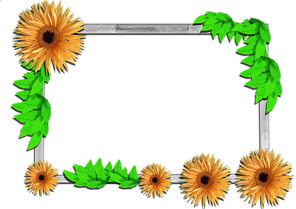 This png image - Flowers frame (3), is available for free download