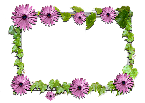 This png image - Flowers frame (4), is available for free download