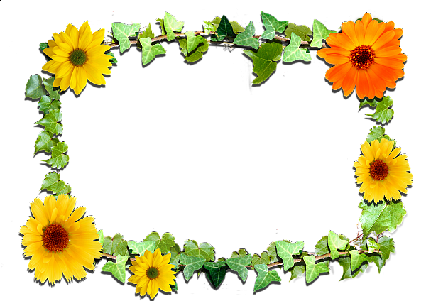 This png image - Flowers frame (6), is available for free download