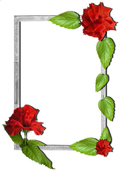 This png image - Flowers frame (7), is available for free download