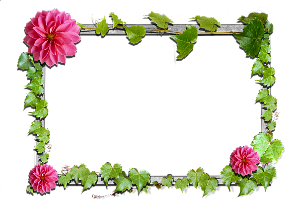 This png image - Flowers frame (9), is available for free download