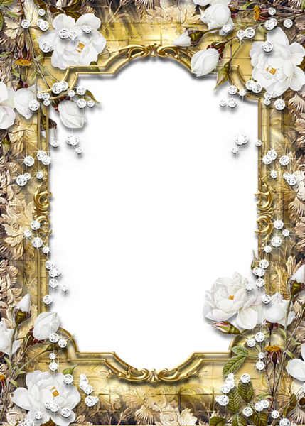 Gold PNG Frame with Diamonds and Roses | Gallery Yopriceville - High