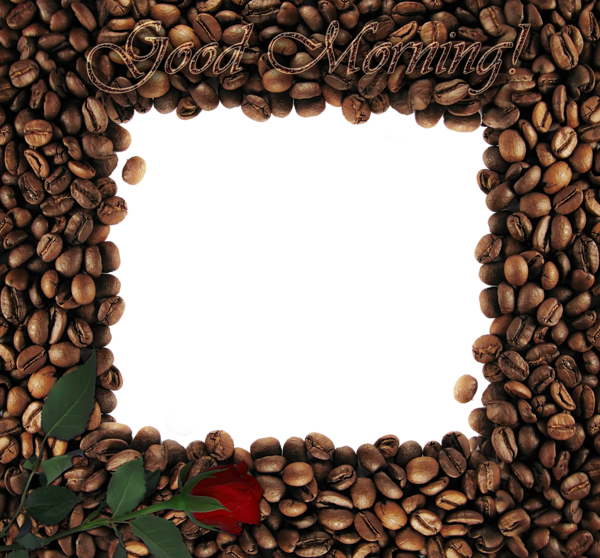 This png image - Good Morning with Rose PNG Coffee Frame, is available for free download