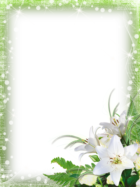 This png image - Green-PNG Photo Frame with Flowers, is available for free download
