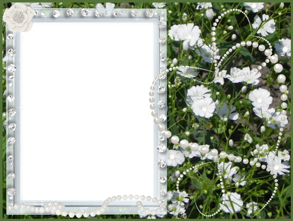This png image - Green Floral Transparent PNG Frame, is available for free download