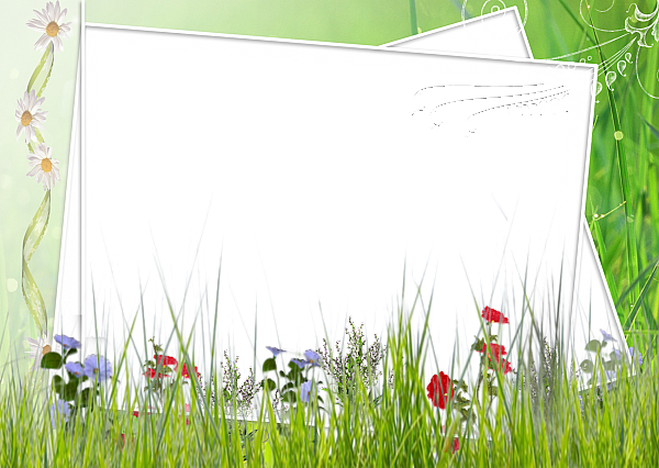 This png image - Green and White Transparent Frame with Field Flowers, is available for free download