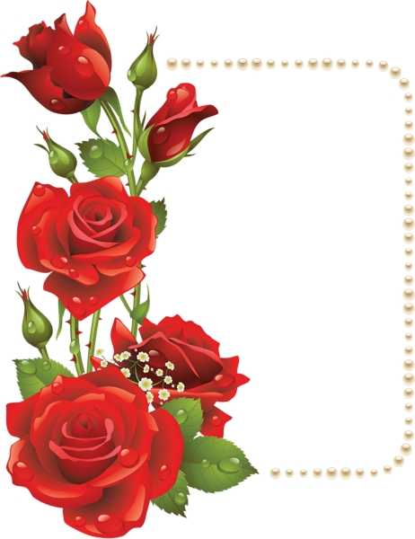 This png image - Large Transparent Frame with Red Roses and Pearls, is available for free download