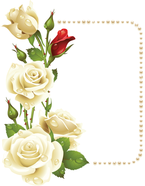This png image - Large Transparent Frame with White Roses and Pearls, is available for free download
