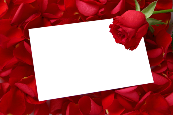 This png image - Large Transparent Horizontal Frame with Red Roses, is available for free download