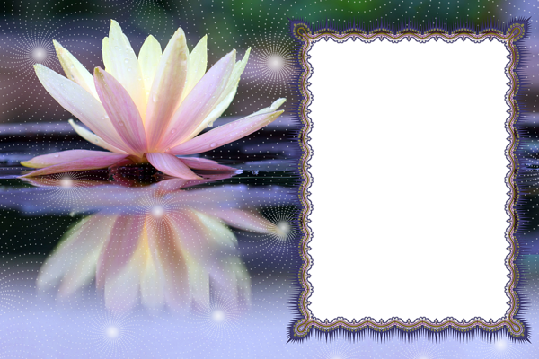 This png image - Lotus Transparent PNG Photo Frame, is available for free download