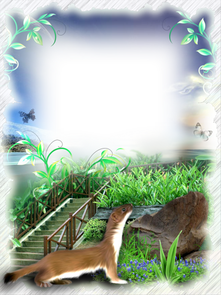 This png image - Nature Transparent Photo Frame, is available for free download
