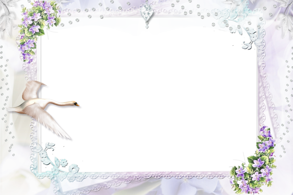 This png image - Nice and Soft PNG Frame with White Swan, is available for free download