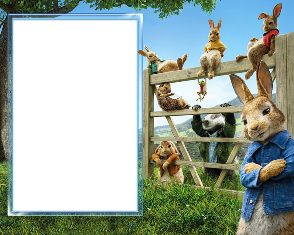 This png image - Peter Rabbit Transparent PNG Frame, is available for free download