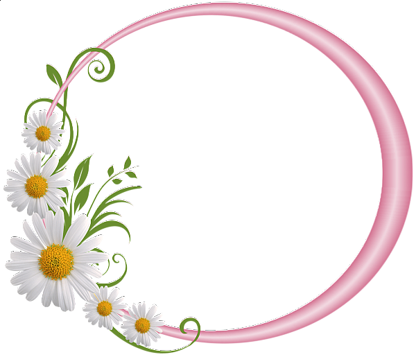 This png image - Pink Round Frame with Daisies, is available for free download