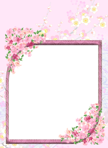 This png image - Pink Transparent Flowers PNG Photo Frame, is available for free download