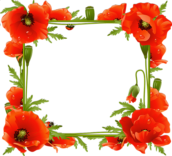 This png image - Poppies Transparent Frame, is available for free download