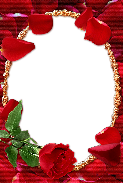 Rose Transparent Frame | Gallery Yopriceville - High-Quality Images and