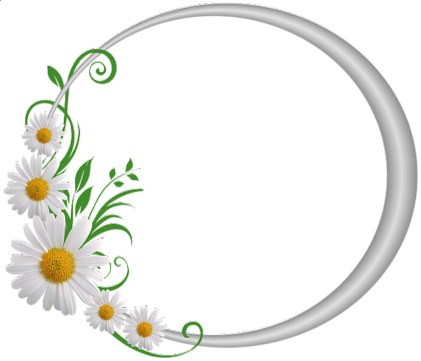This png image - Silver Round Frame with Daisies, is available for free download