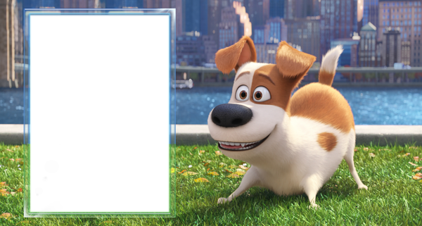 This png image - The Secret Life of Pets Transparent PNG Frame, is available for free download